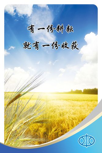 实验室乐鱼体育官方干燥管图片(干燥实验室)