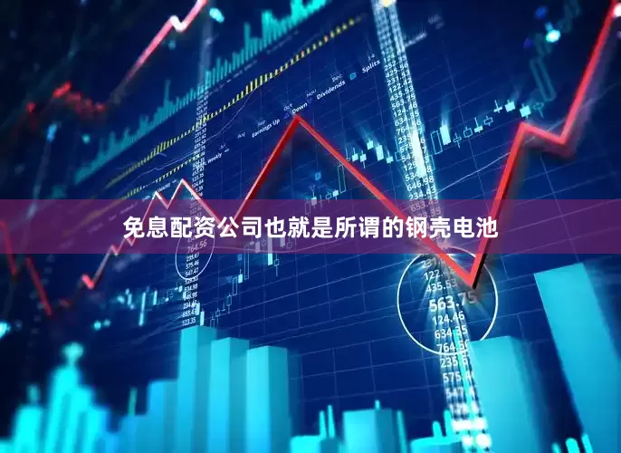 免息配资公司也就是所谓的钢壳电池