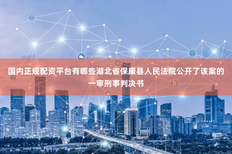 国内正规配资平台有哪些湖北省保康县人民法院公开了该案的一审刑事判决书