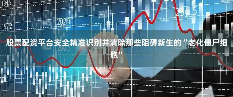 股票配资平台安全精准识别并清除那些阻碍新生的“老化僵尸细胞”
