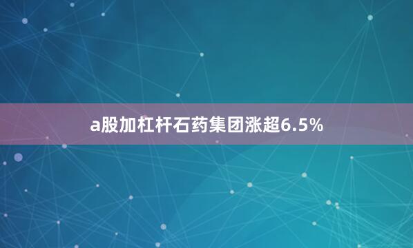 a股加杠杆石药集团涨超6.5%